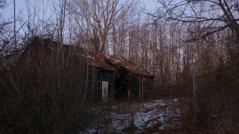 Photo from Still Standing (January 2024)