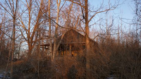 Still Standing (January 2024) - 2014-01-29 004.JPG