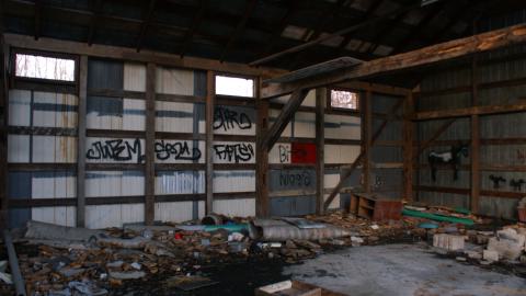 Photo from Still Standing (January 2024)