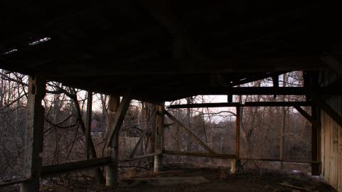 Still Standing (January 2024) - 2014-01-29 037.JPG