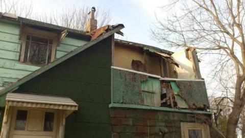 3 Birds 1 Stone. - Three-Beauties11.jpg