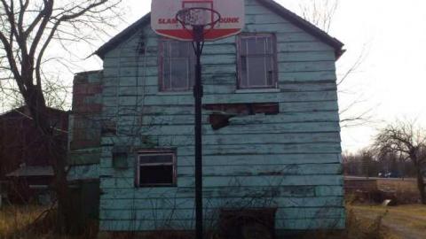 3 Birds 1 Stone. - Three-Beauties13.jpg