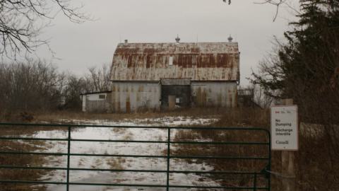 Photo from Big Old Barn & Overgrown Farmhouse (January 2024)