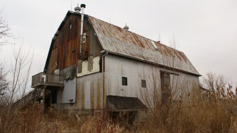 Photo from Big Old Barn & Overgrown Farmhouse (January 2024)