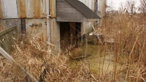 Big Old Barn & Overgrown Farmhouse (January 2024) - IMG_8484.jpeg