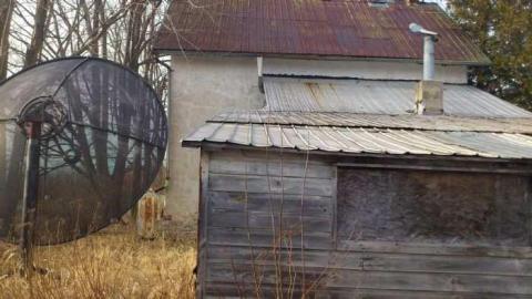 3 Birds 1 Stone. - Three-Beauties2.jpg