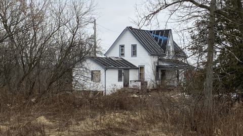 Big Old Barn & Overgrown Farmhouse (January 2024) - IMG_8478.jpeg