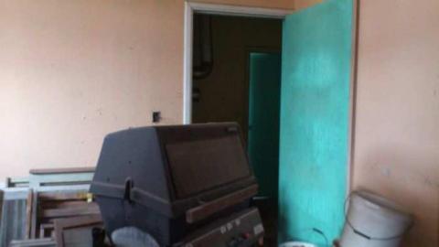 3 Birds 1 Stone. - Three-Beauties15.jpg