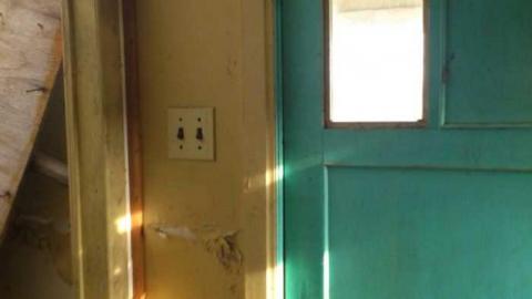 3 Birds 1 Stone. - Three-Beauties4.jpg