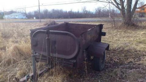 3 Birds 1 Stone. - Three-Beauties17.jpg