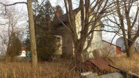 3 Birds 1 Stone. - Three-Beauties6.jpg