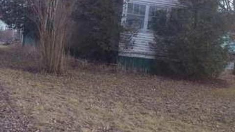 3 Birds 1 Stone. - Three-Beauties19.jpg