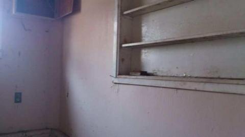 3 Birds 1 Stone. - Three-Beauties7.jpg