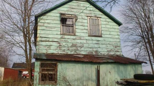 Three Beauties photo 3