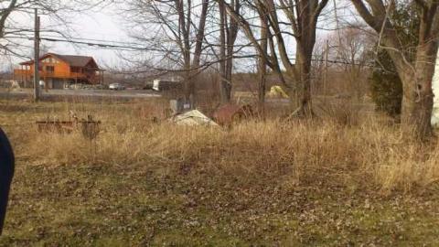 3 Birds 1 Stone. - Three-Beauties21.jpg