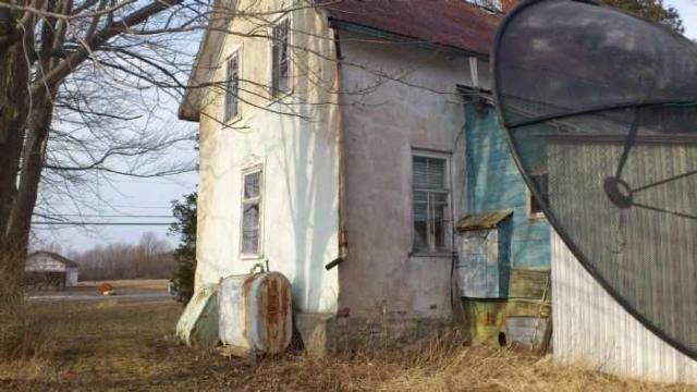 Three Beauties photo 2