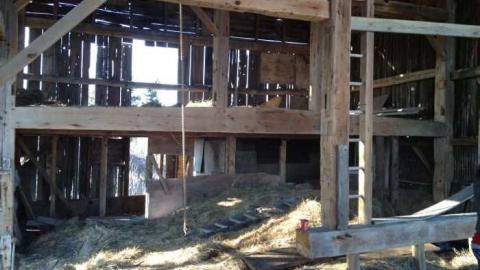 pics. - IMG_1024.jpg