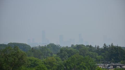 View from the rooftop