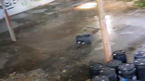 Chained shut, peaking through the windows - vlcsnap-2024-02-01-17h23m36s057.png