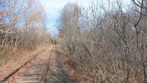 Last warm day of 2023 - DSC_0166.JPG