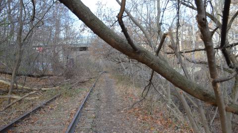 Photo from Last warm day of 2023