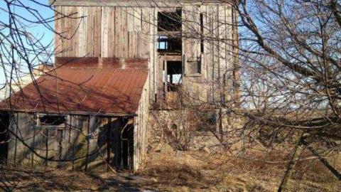 pics. - IMG_1027.jpg