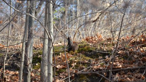 Last warm day of 2023 - DSC_0162.JPG