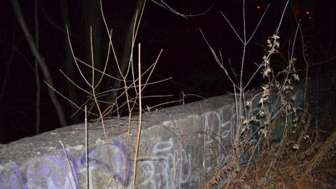Bayview Bridge at night - DSC_0115.JPG