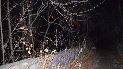Bayview Bridge at night - DSC_0117.JPG
