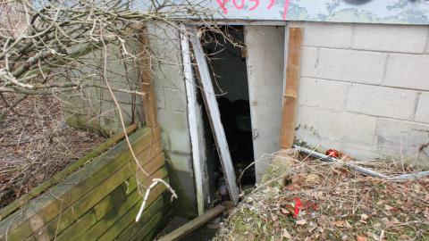 Little Bungalow On Kingston (February 2024) - 2014-02-01 011.JPG