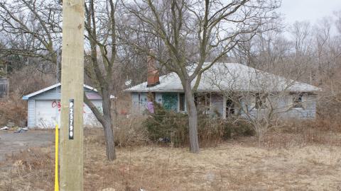 Little Bungalow On Kingston (February 2024) - 2014-02-01 006.JPG