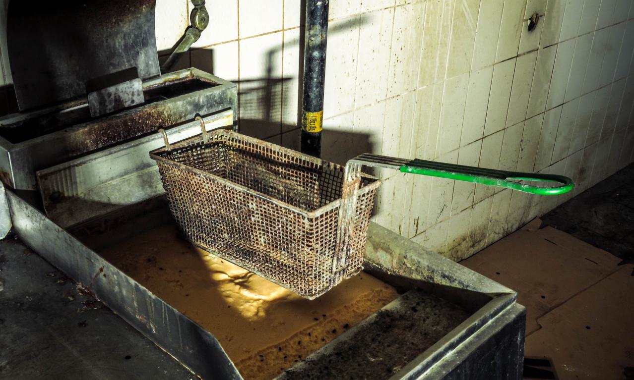 Discovery Visit, 2024 - Fortis 004.jpg