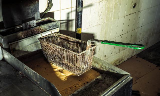 Discovery Visit, 2024 - Fortis 004.jpg