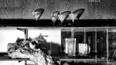 Discovery Visit, 2024 - Fortis 005.jpg