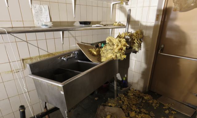 Discovery Visit, 2024 - Fortis 008.jpg