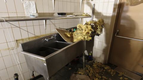 Discovery Visit, 2024 - Fortis 008.jpg