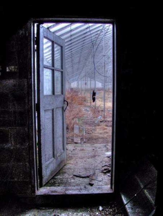 Kingshott Farm photo 3