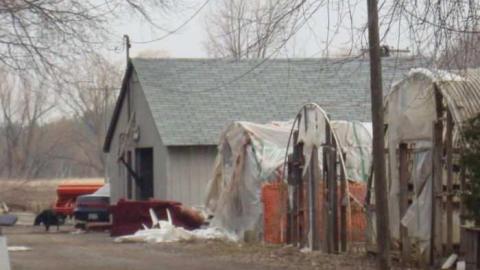 Curry and Spice - Punjabi-Farm3.jpg