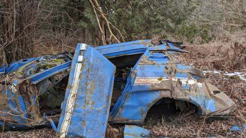 February 2024 - 1000000996.jpg