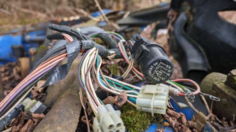 February 2024 - 1000001007.jpg