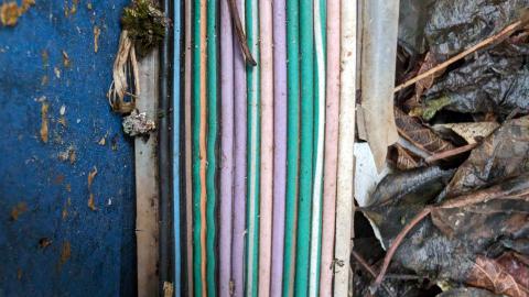 February 2024 - 1000001000.jpg