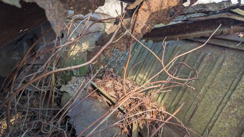 Photo from February 2024