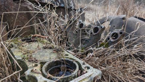 February 2024 - 1000000988.jpg