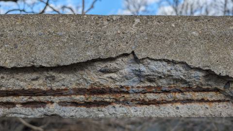 Photo from February 2024