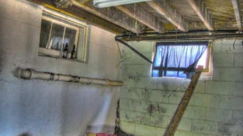 Curry and Spice - Punjabi-Farm15.jpg