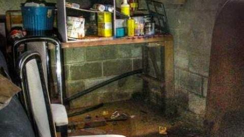 Curry and Spice - Punjabi-Farm16.jpg