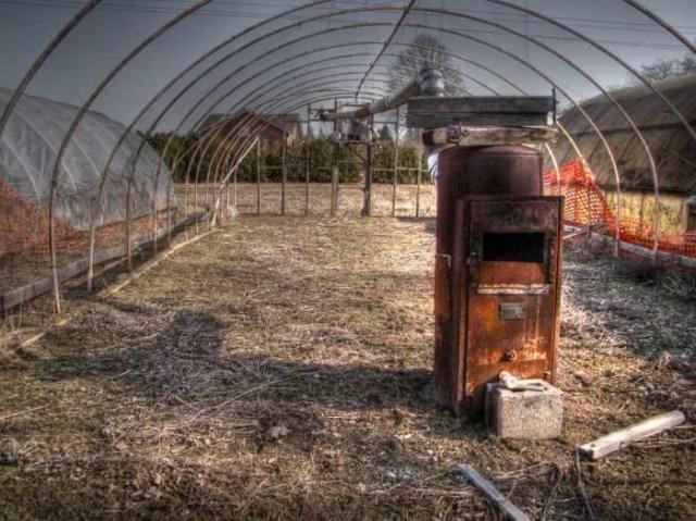 Punjabi Farm photo 2