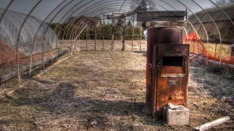 Punjabi Farm photo 2