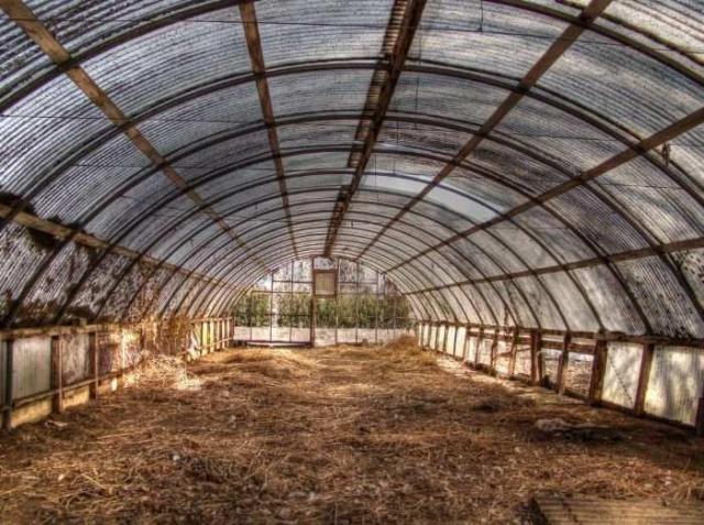 Punjabi Farm photo 3