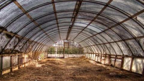 Punjabi Farm photo 3